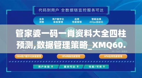 管家婆一码一肖资料大全四柱预测,数据管理策略_XMQ60.502轻量版