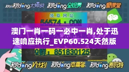 澳门一肖一码一必中一肖,处于迅速响应执行_EVP60.524天然版