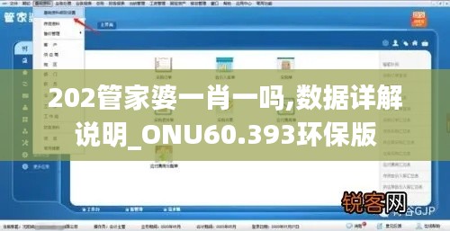 202管家婆一肖一吗,数据详解说明_ONU60.393环保版