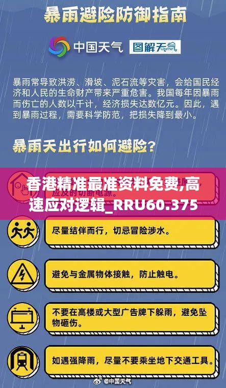 香港精准最准资料免费,高速应对逻辑_RRU60.375高清晰度版