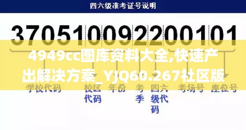 4949cc图库资料大全,快速产出解决方案_YJQ60.267社区版