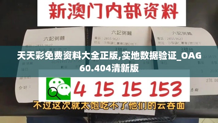 天天彩免费资料大全正版,实地数据验证_OAG60.404清新版