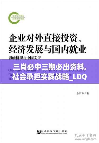 三肖必中三期必出资料,社会承担实践战略_LDQ60.280备用版