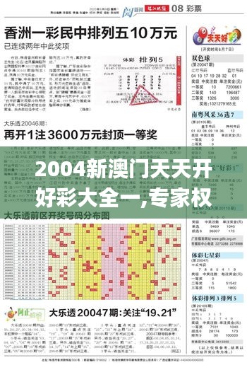 2004新澳门天天开好彩大全一,专家权威解答_FVM60.663结合版