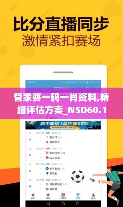 管家婆一码一肖资料,精细评估方案_NSD60.179未来版