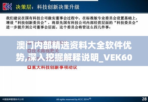 澳门内部精选资料大全软件优势,深入挖掘解释说明_VEK60.948风尚版