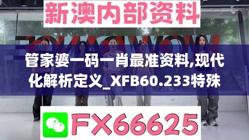 管家婆一码一肖最准资料,现代化解析定义_XFB60.233特殊版