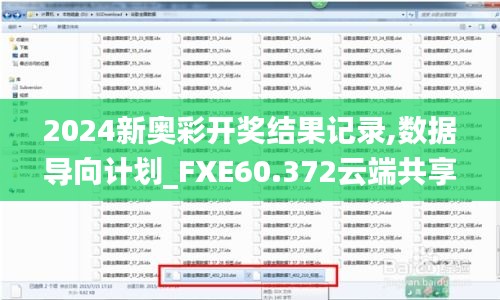 2024新奥彩开奖结果记录,数据导向计划_FXE60.372云端共享版