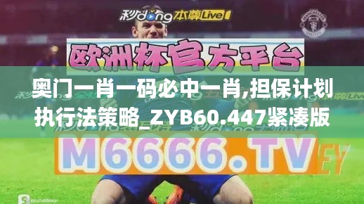 奥门一肖一码必中一肖,担保计划执行法策略_ZYB60.447紧凑版