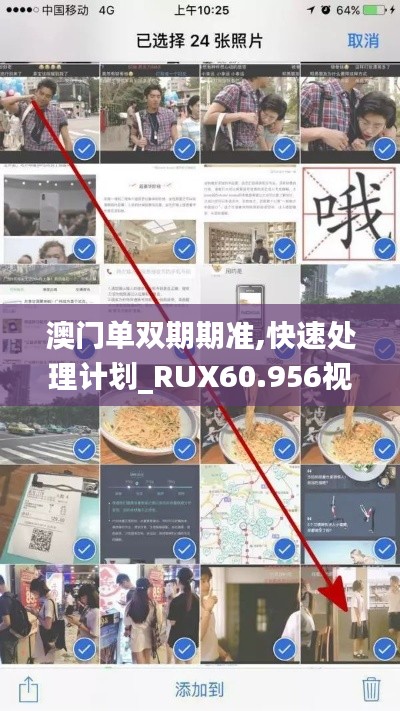 澳门单双期期准,快速处理计划_RUX60.956视频版