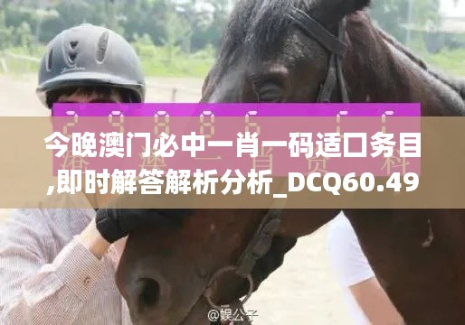 今晚澳门必中一肖一码适囗务目,即时解答解析分析_DCQ60.499商务版