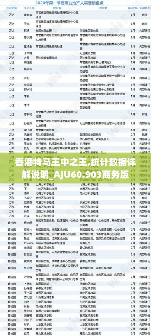 香港特马王中之王,统计数据详解说明_AJU60.903商务版