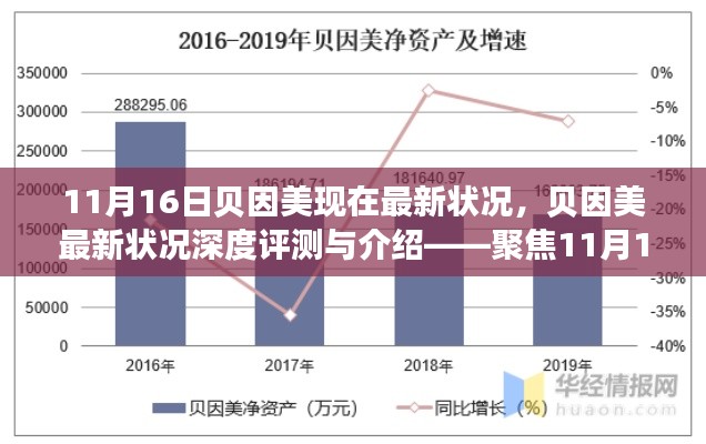 贝因美最新深度评测与介绍，聚焦11月16日动态更新报告