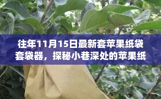 探秘小巷深处的苹果纸袋套袋器，揭秘最新套苹果纸袋套袋器新发现（往年11月15日）