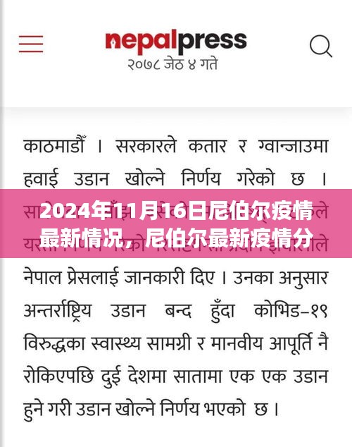 尼伯尔新冠疫情最新动态分析报告（2024年11月版），应对策略与成效深度解析