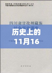 中国保险法最新修订版的变革与影响，深度解读历史上的11月16日事件及其影响