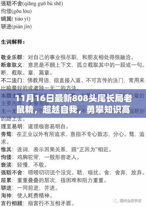 超越自我，勇攀知识高峰，最新808头尾长局老鼠精的成长之旅