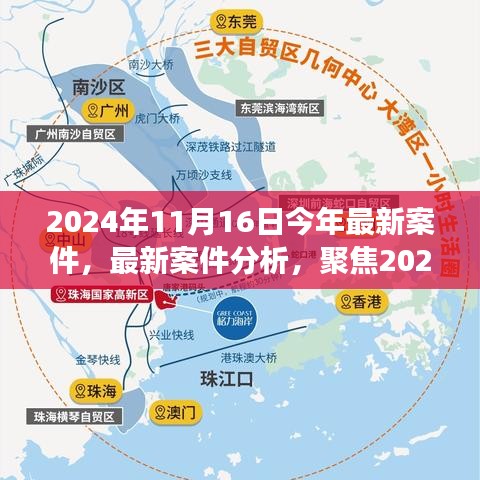 聚焦最新案件，多维视角解读2024年11月16日事件分析