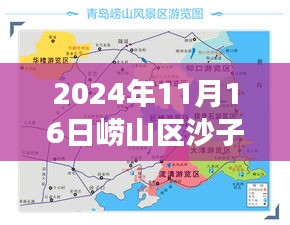 2024年11月16日 第9页