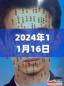 2024年11月16日痣相男最新，痣相男的奇妙日常，2024年11月16日的温馨趣事