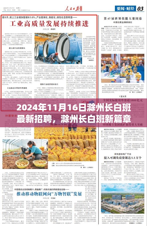 2024年11月16日滁州长白班最新招聘，滁州长白班新篇章，职场与友情的温馨交响