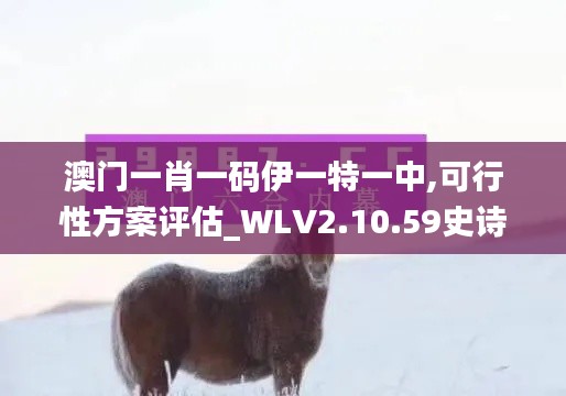 澳门一肖一码伊一特一中,可行性方案评估_WLV2.10.59史诗版