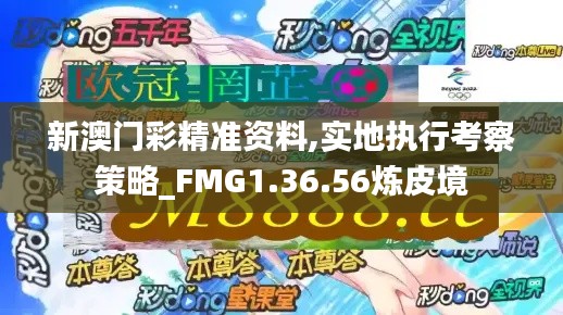 新澳门彩精准资料,实地执行考察策略_FMG1.36.56炼皮境