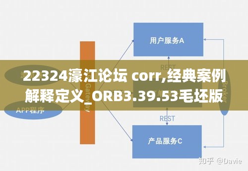 22324濠江论坛 corr,经典案例解释定义_ORB3.39.53毛坯版