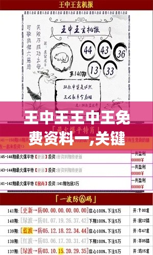 王中王王中王免费资料一,关键方法解析_VYX2.34.80冷静版