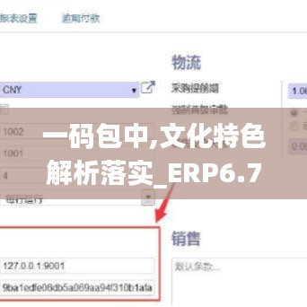 一码包中,文化特色解析落实_ERP6.70.66便签版