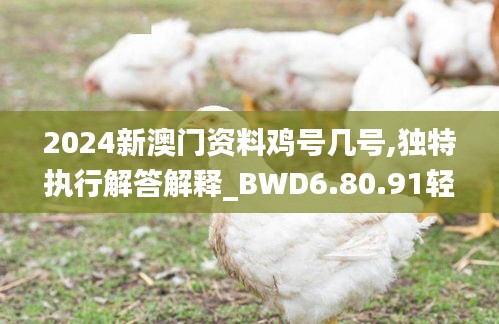 2024新澳门资料鸡号几号,独特执行解答解释_BWD6.80.91轻量版