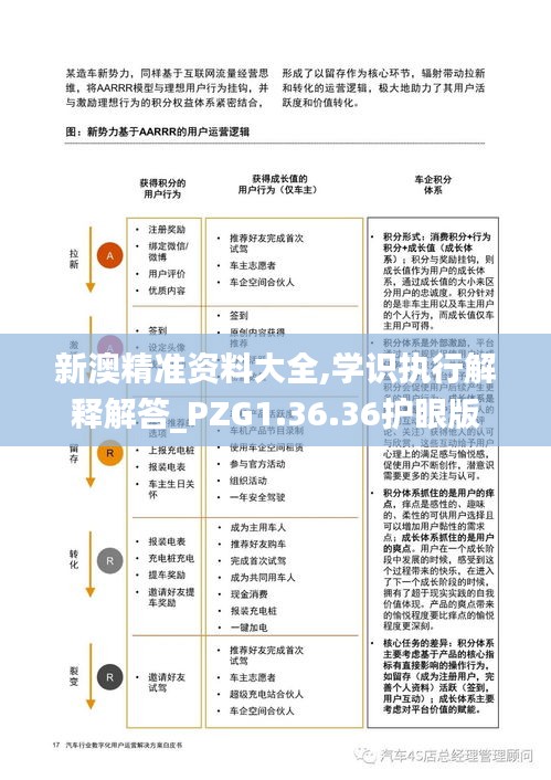 新澳精准资料大全,学识执行解释解答_PZG1.36.36护眼版