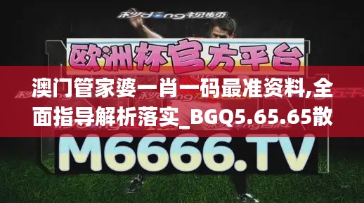 澳门管家婆一肖一码最准资料,全面指导解析落实_BGQ5.65.65散热版