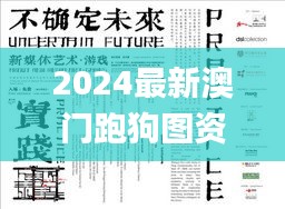 2024最新澳门跑狗图资料,实际应用解析说明_KOT9.77.60修改版