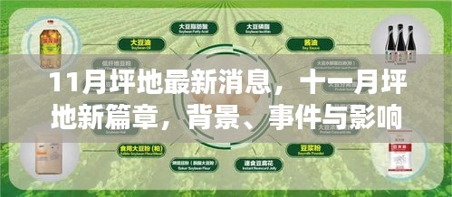 十一月坪地新篇章，背景、事件与深度影响探析