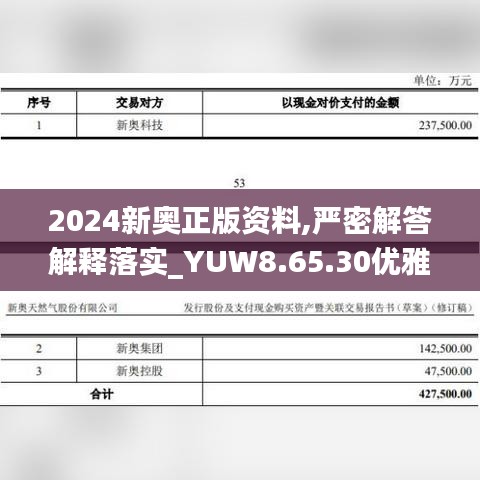 2024新奥正版资料,严密解答解释落实_YUW8.65.30优雅版