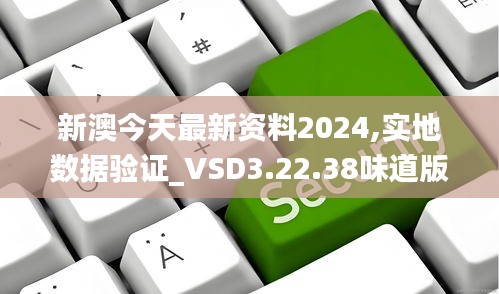 新澳今天最新资料2024,实地数据验证_VSD3.22.38味道版