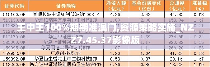 王中王100%期期准澳门,资源策略实施_NZZ7.45.37影像版