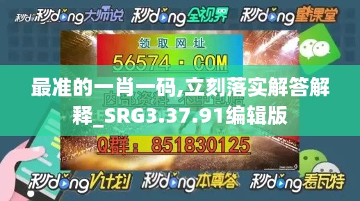 最准的一肖一码,立刻落实解答解释_SRG3.37.91编辑版