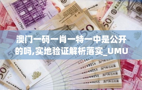 澳门一码一肖一特一中是公开的吗,实地验证解析落实_UMU9.56.69高级版