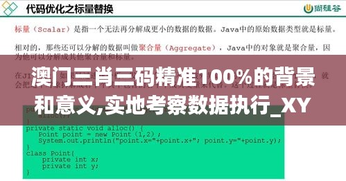 澳门三肖三码精准100%的背景和意义,实地考察数据执行_XYY6.59.52解放版