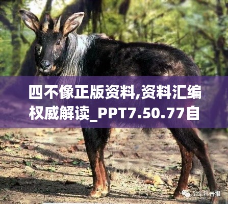 四不像正版资料,资料汇编权威解读_PPT7.50.77自在版