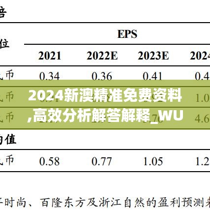 2024新澳精准免费资料,高效分析解答解释_WUT9.64.95乐享版