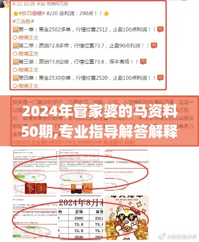 2024年管家婆的马资料50期,专业指导解答解释手册_ETT6.67.91极限版