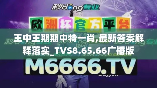 王中王期期中特一肖,最新答案解释落实_TVS8.65.66广播版