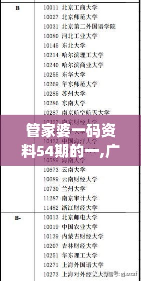 管家婆一码资料54期的一,广泛说明方法评估_SYB9.55.61本命境