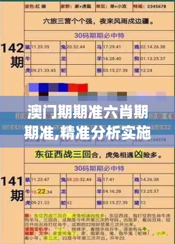 澳门期期准六肖期期准,精准分析实施_AYZ6.70.77艺术版