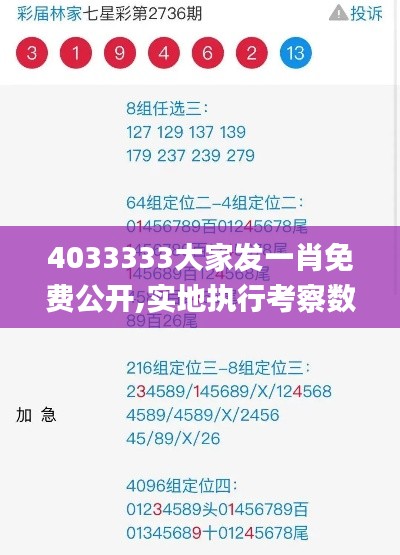 4033333大家发一肖免费公开,实地执行考察数据_ORN2.45.50全景版