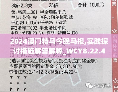 2024澳门特马今晚马报,实践探讨措施解答解释_WCY8.22.46连续版