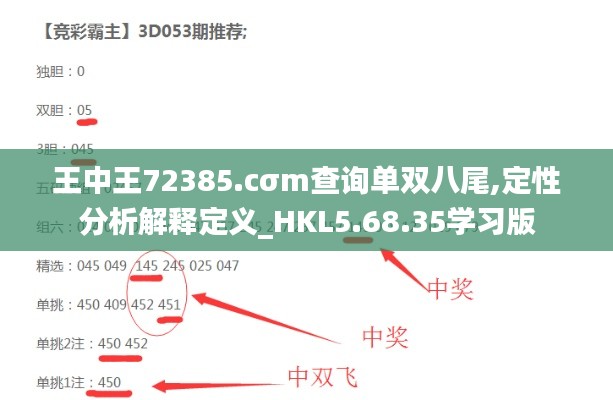 王中王72385.cσm查询单双八尾,定性分析解释定义_HKL5.68.35学习版